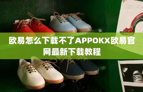 欧易怎么下载不了APPOKX欧易官网最新下载教程