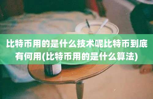 比特币用的是什么技术呢比特币到底有何用(比特币用的是什么算法)