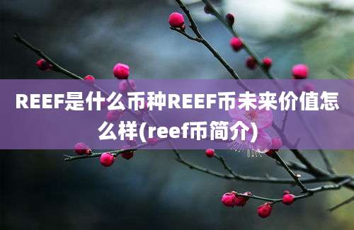 REEF是什么币种REEF币未来价值怎么样(reef币简介)