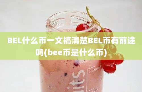 BEL什么币一文搞清楚BEL币有前途吗(bee币是什么币)