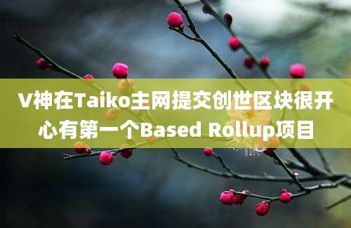 V神在Taiko主网提交创世区块很开心有第一个Based Rollup项目