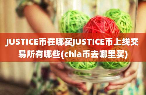 JUSTICE币在哪买JUSTICE币上线交易所有哪些(chia币去哪里买)