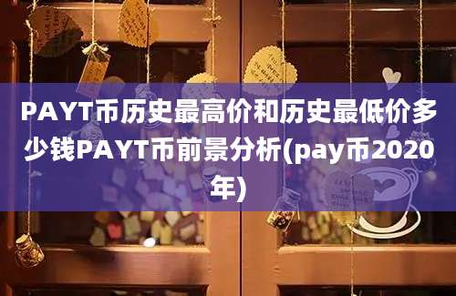 PAYT币历史最高价和历史最低价多少钱PAYT币前景分析(pay币2020年)