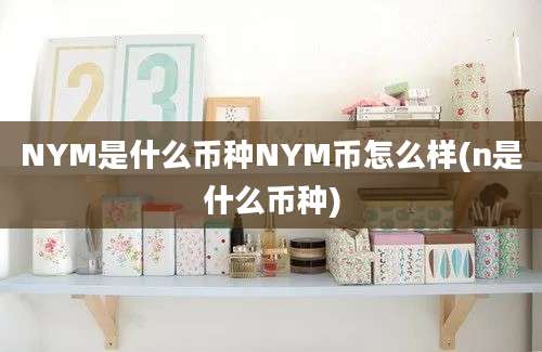 NYM是什么币种NYM币怎么样(n是什么币种)