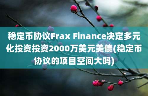 稳定币协议Frax Finance决定多元化投资投资2000万美元美债(稳定币协议的项目空间大吗)