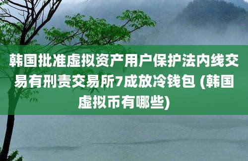 韩国批准虚拟资产用户保护法内线交易有刑责交易所7成放冷钱包 (韩国虚拟币有哪些)