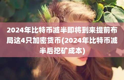 2024年比特币减半即将到来提前布局这4只加密货币(2024年比特币减半后挖矿成本)