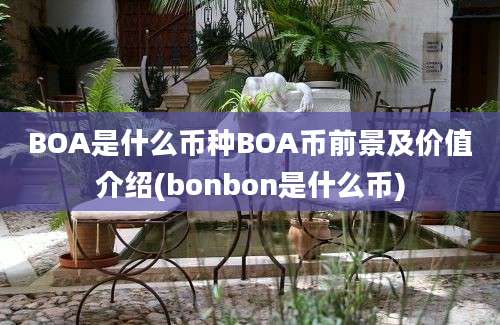 BOA是什么币种BOA币前景及价值介绍(bonbon是什么币)