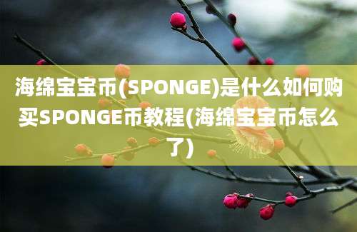 海绵宝宝币(SPONGE)是什么如何购买SPONGE币教程(海绵宝宝币怎么了)