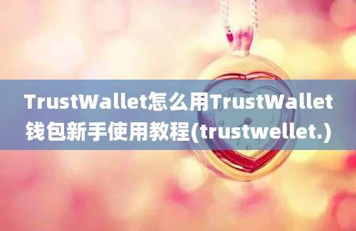 TrustWallet怎么用TrustWallet钱包新手使用教程(trustwellet.)