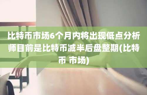 比特币市场6个月内将出现低点分析师目前是比特币减半后盘整期(比特币 市场)