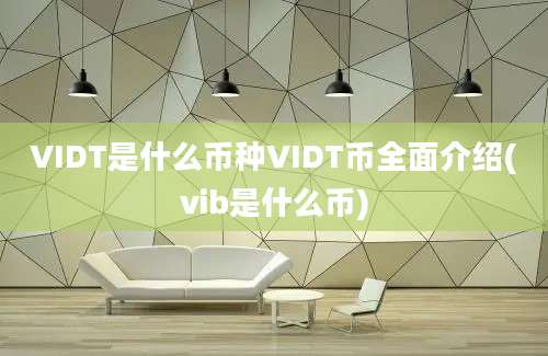 VIDT是什么币种VIDT币全面介绍(vib是什么币)