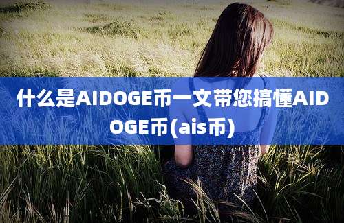 什么是AIDOGE币一文带您搞懂AIDOGE币(ais币)