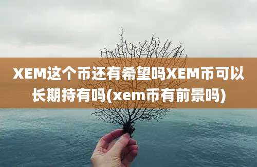 XEM这个币还有希望吗XEM币可以长期持有吗(xem币有前景吗)