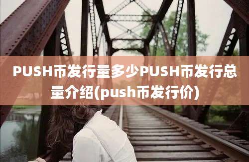 PUSH币发行量多少PUSH币发行总量介绍(push币发行价)