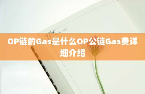 OP链的Gas是什么OP公链Gas费详细介绍