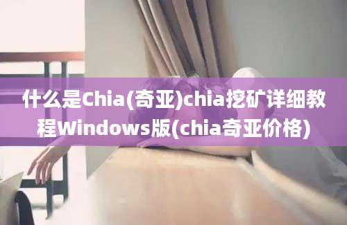 什么是Chia(奇亚)chia挖矿详细教程Windows版(chia奇亚价格)