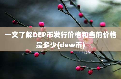 一文了解DEP币发行价格和当前价格是多少(dew币)