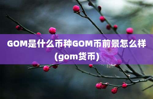 GOM是什么币种GOM币前景怎么样(gom货币)