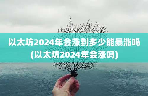 以太坊2024年会涨到多少能暴涨吗(以太坊2024年会涨吗)