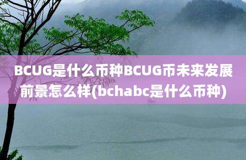 BCUG是什么币种BCUG币未来发展前景怎么样(bchabc是什么币种)