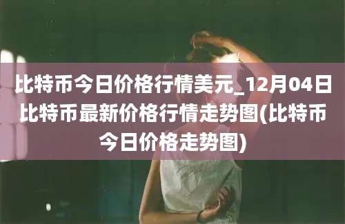 比特币今日价格行情美元_12月04日比特币最新价格行情走势图(比特币今日价格走势图)