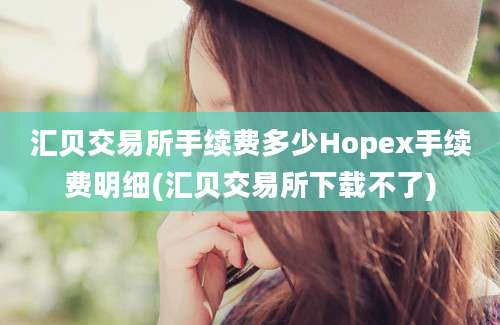 汇贝交易所手续费多少Hopex手续费明细(汇贝交易所下载不了)