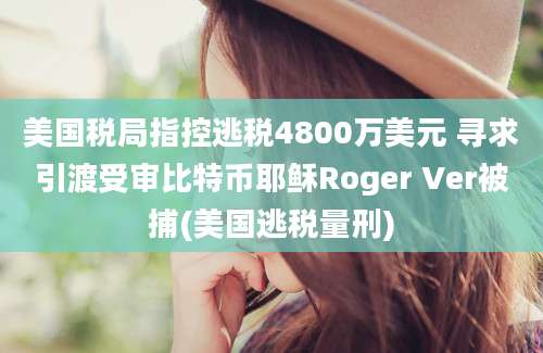 美国税局指控逃税4800万美元 寻求引渡受审比特币耶稣Roger Ver被捕(美国逃税量刑)