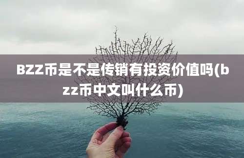 BZZ币是不是传销有投资价值吗(bzz币中文叫什么币)