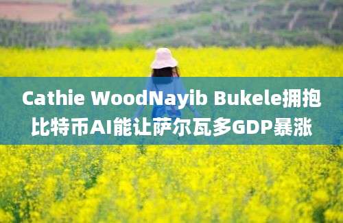 Cathie WoodNayib Bukele拥抱比特币AI能让萨尔瓦多GDP暴涨