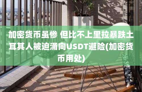 加密货币虽惨 但比不上里拉暴跌土耳其人被迫涌向USDT避险(加密货币用处)