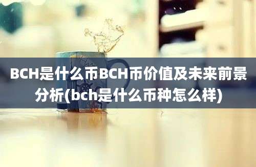 BCH是什么币BCH币价值及未来前景分析(bch是什么币种怎么样)