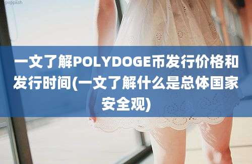 一文了解POLYDOGE币发行价格和发行时间(一文了解什么是总体国家安全观)