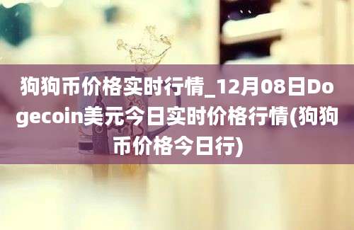 狗狗币价格实时行情_12月08日Dogecoin美元今日实时价格行情(狗狗币价格今日行)