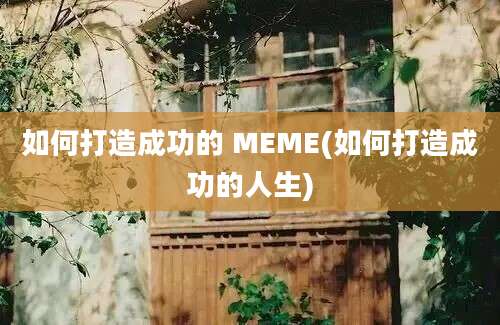 如何打造成功的 MEME(如何打造成功的人生)