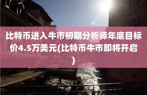 比特币进入牛市初期分析师年底目标价4.5万美元(比特币牛市即将开启)