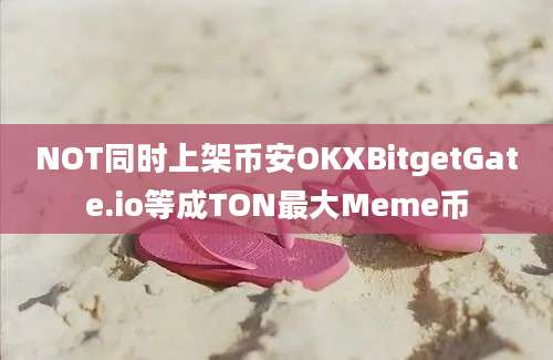 NOT同时上架币安OKXBitgetGate.io等成TON最大Meme币