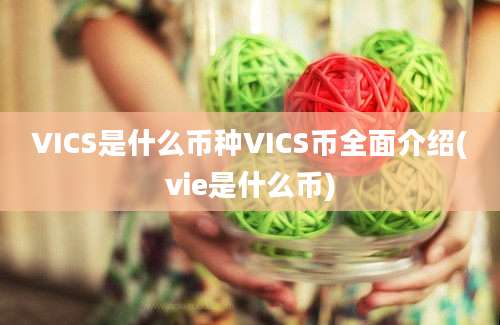 VICS是什么币种VICS币全面介绍(vie是什么币)