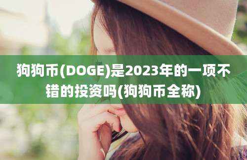 狗狗币(DOGE)是2023年的一项不错的投资吗(狗狗币全称)