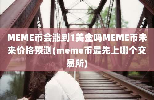 MEME币会涨到1美金吗MEME币未来价格预测(meme币最先上哪个交易所)