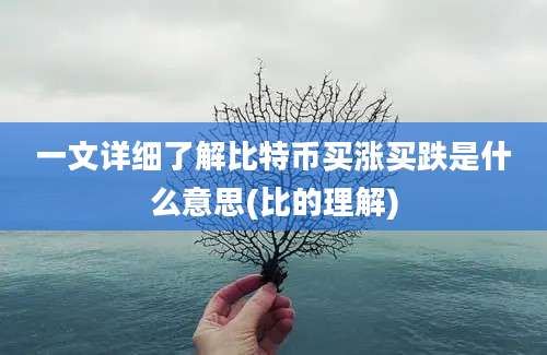 一文详细了解比特币买涨买跌是什么意思(比的理解)