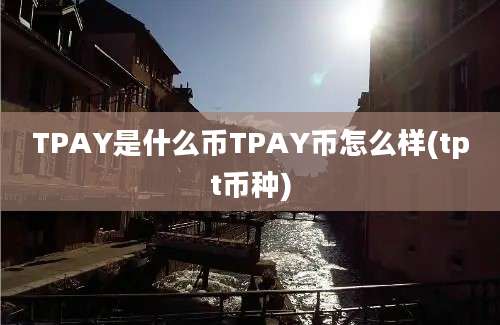 TPAY是什么币TPAY币怎么样(tpt币种)