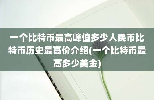 一个比特币最高峰值多少人民币比特币历史最高价介绍(一个比特币最高多少美金)