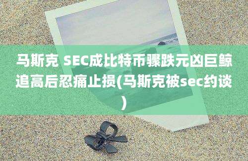 马斯克 SEC成比特币骤跌元凶巨鲸追高后忍痛止损(马斯克被sec约谈)