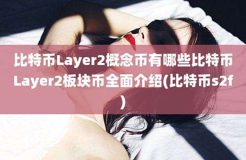 比特币Layer2概念币有哪些比特币Layer2板块币全面介绍(比特币s2f)