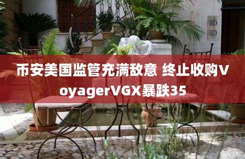 币安美国监管充满敌意 终止收购VoyagerVGX暴跌35