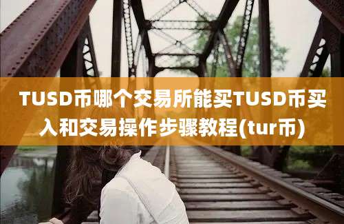 TUSD币哪个交易所能买TUSD币买入和交易操作步骤教程(tur币)