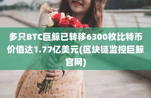 多只BTC巨鲸已转移6300枚比特币价值达1.77亿美元(区块链监控巨鲸官网)