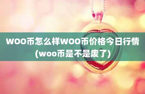 WOO币怎么样WOO币价格今日行情(woo币是不是废了)