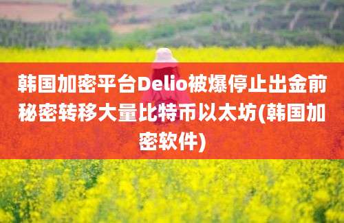 韩国加密平台Delio被爆停止出金前秘密转移大量比特币以太坊(韩国加密软件)